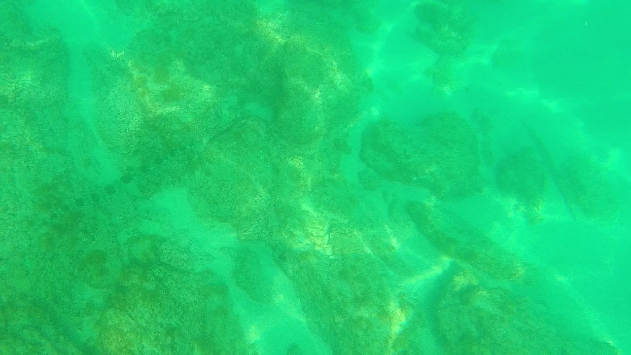 Submerged Palmilla Los Cabos view with larger coral-like rock shapes spread across the ocean floor beneath turquoise water and no visible people.