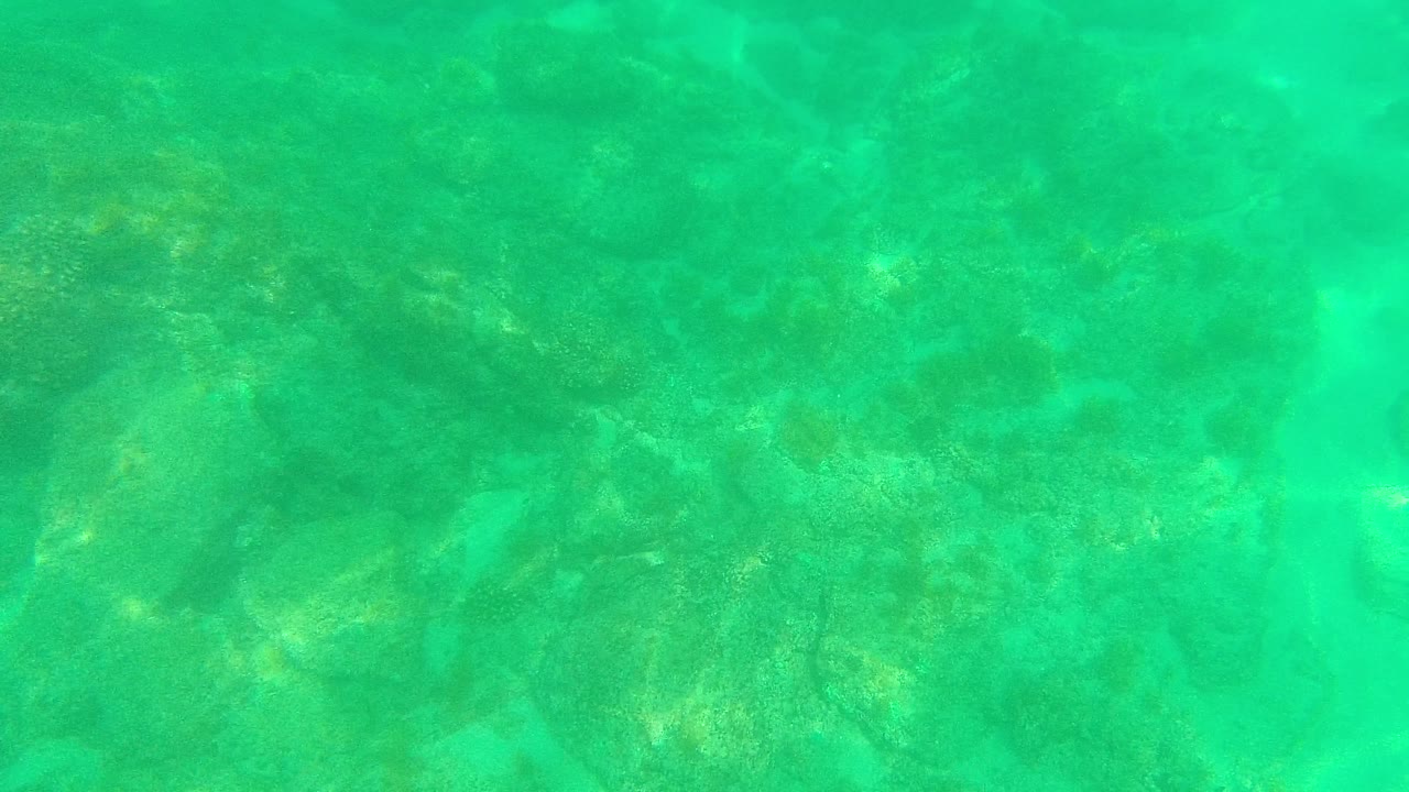 Rippled turquoise water at Palmilla Los Cabos covers a rocky ocean floor with pale sand pockets and no visible people.