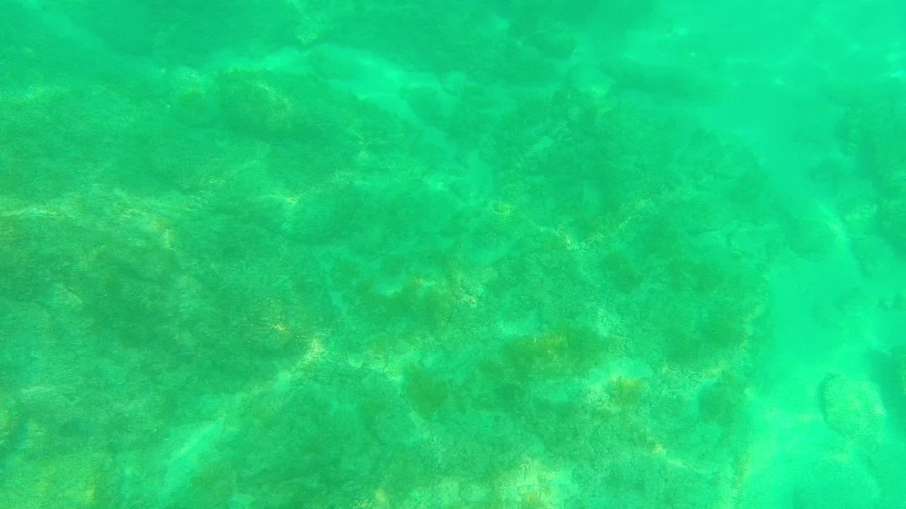 Shallow blue-green water at Palmilla Los Cabos shows submerged rocks, lighter sandy areas, and no visible people.