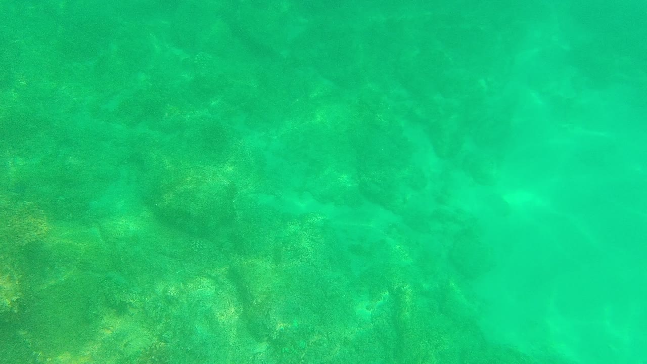 Underwater view in Palmilla Los Cabos, Mexico, showing turquoise shallow water over rocks and sandy seabed with soft dappled light and no visible people.