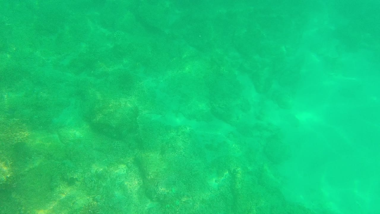 Clear green turquoise water with submerged rocks and light patterns