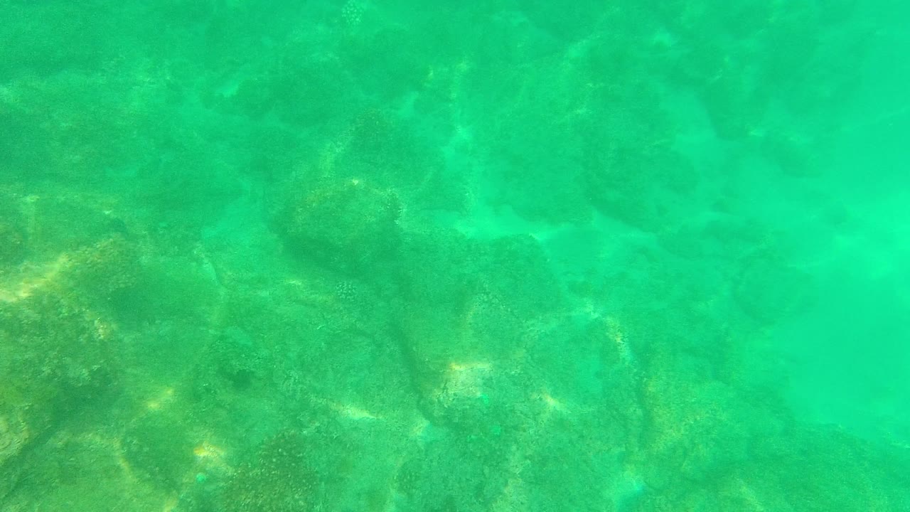 Bright turquoise underwater view in Palmilla Los Cabos, Mexico, with sunlit rock shapes and sandy floor visible beneath rippling water, with no visible people.