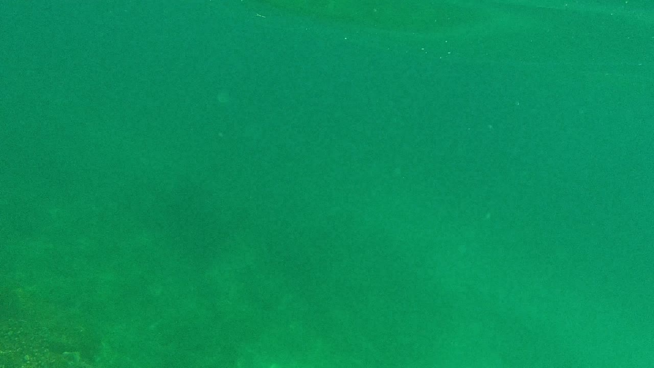 Just below the surface, the frame becomes a mostly green underwater view with faint particles and little seabed detail visible, with no visible people.