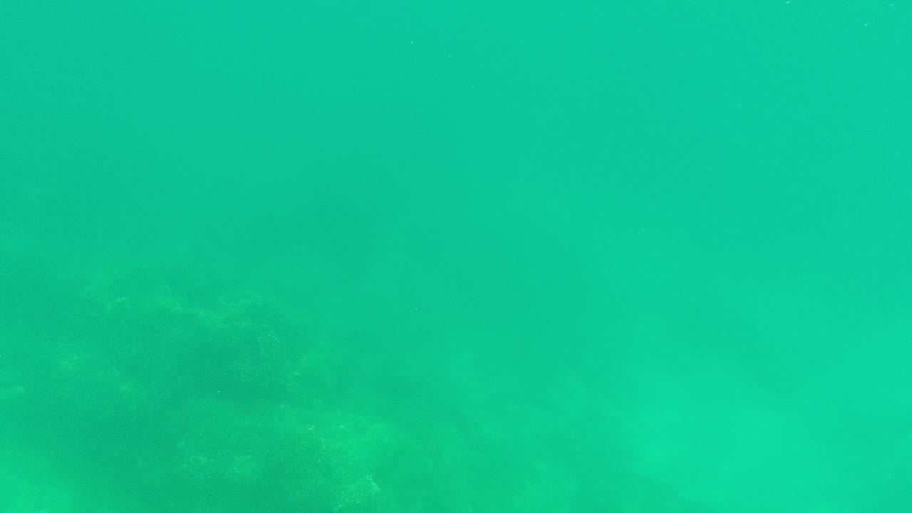 Submerged Palmilla Los Cabos frame with a brighter patch of seabed below, muted rock shapes, green water, and no visible people.