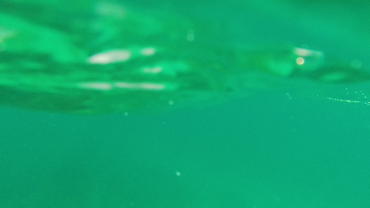 Submerged green water fills the frame with soft surface ripples and scattered light reflections, no visible people.