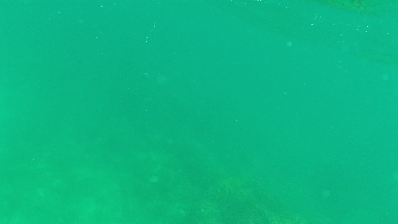 Green-blue underwater view in Palmilla Los Cabos with low-contrast seabed shapes below the clear water and no visible people.