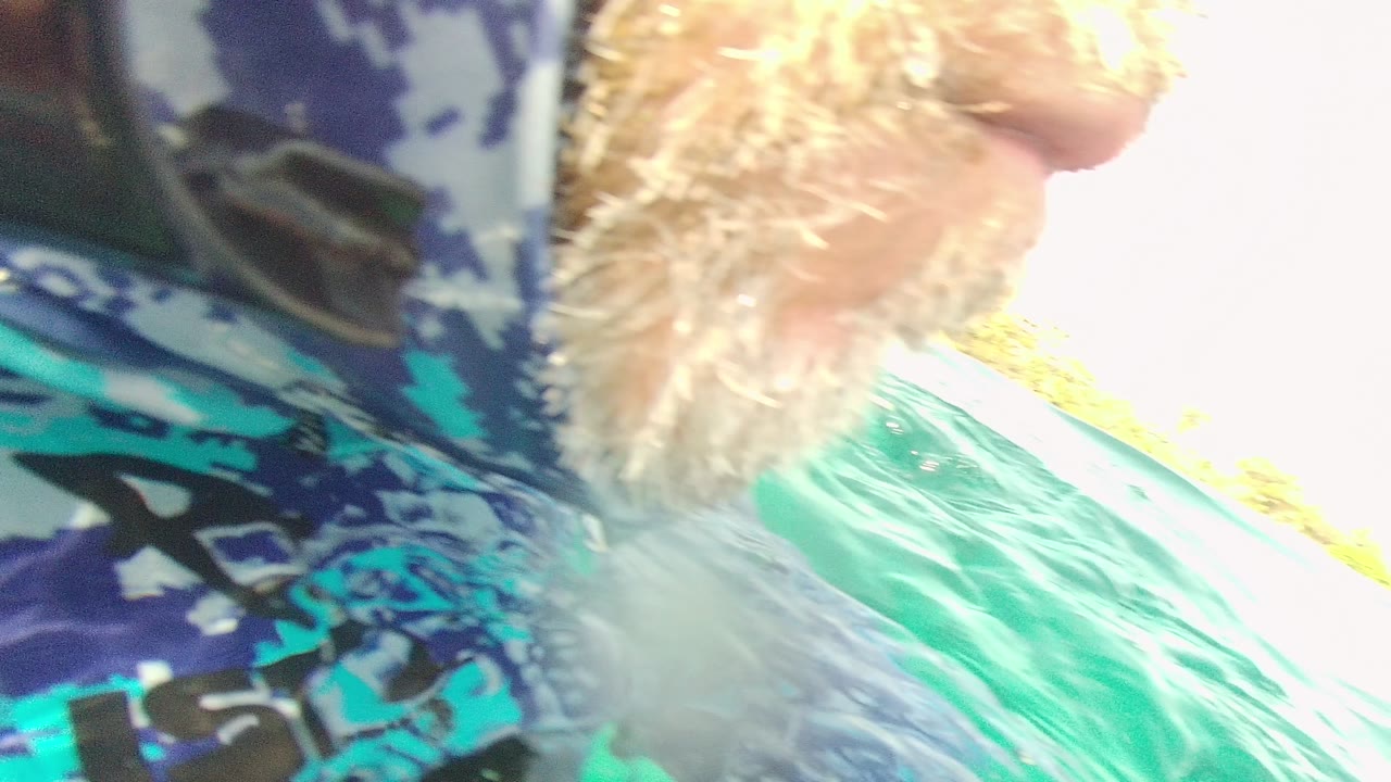 Close waterline frame in Palmilla Los Cabos showing a swimmer's patterned blue shirt, beard, and turquoise ocean surface in bright light.