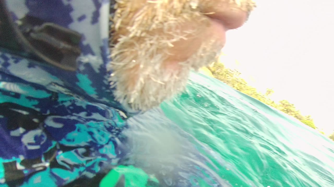 Swimmer close to the water surface with patterned shirt and chin visible.