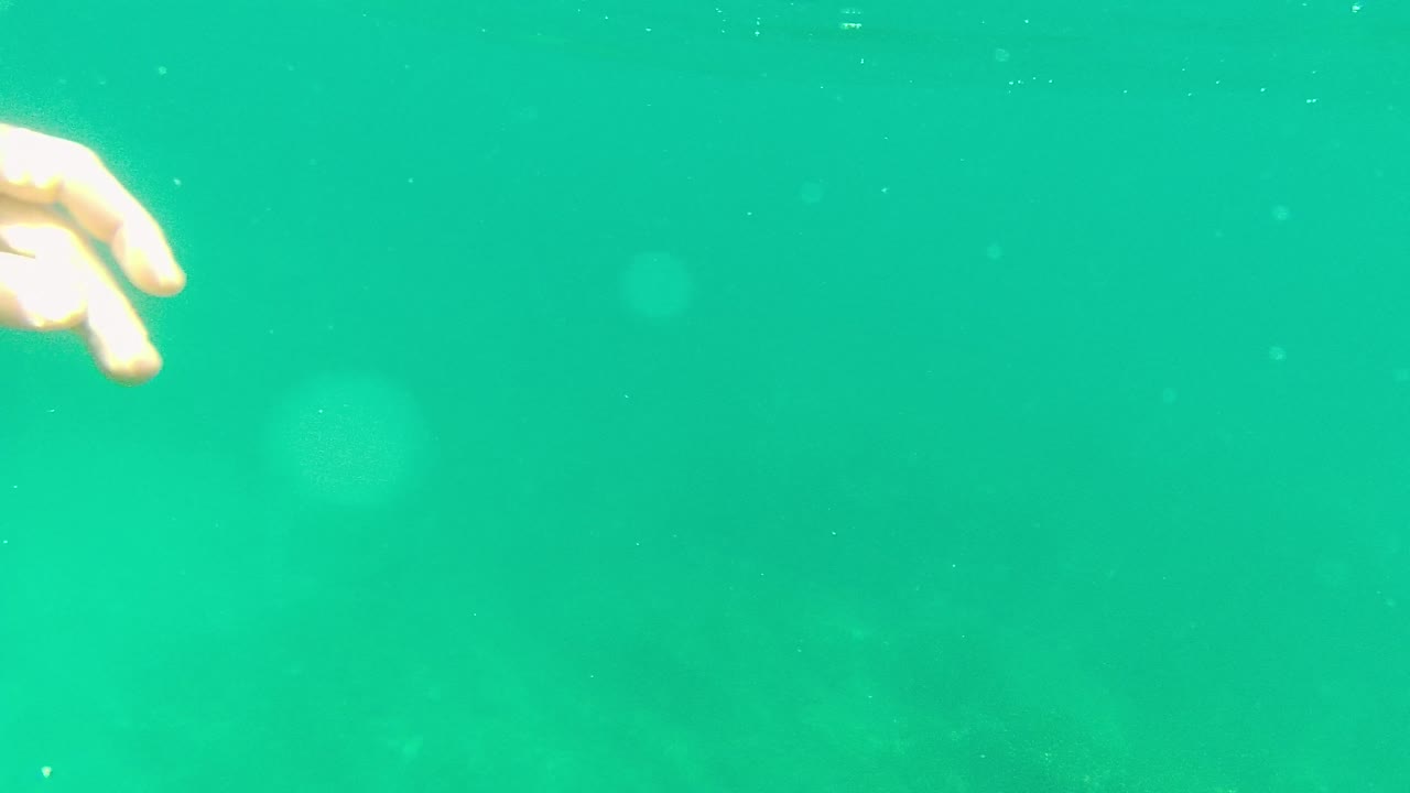 Underwater in Palmilla Los Cabos, a hand enters near the top edge against clear green water with suspended particles and no visible faces.