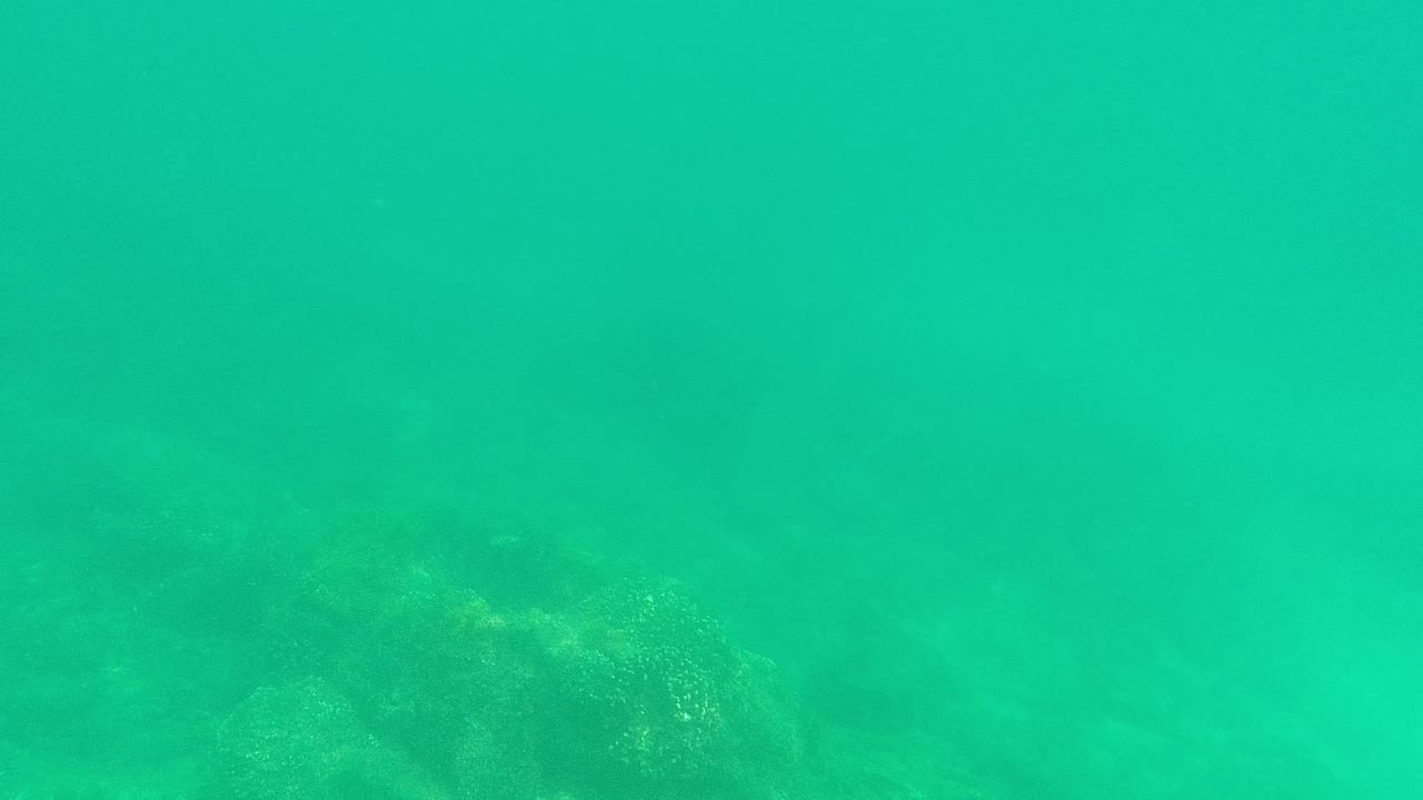 Green-blue underwater view over a rocky seabed at Palmilla Los Cabos, with water haze and no visible people.