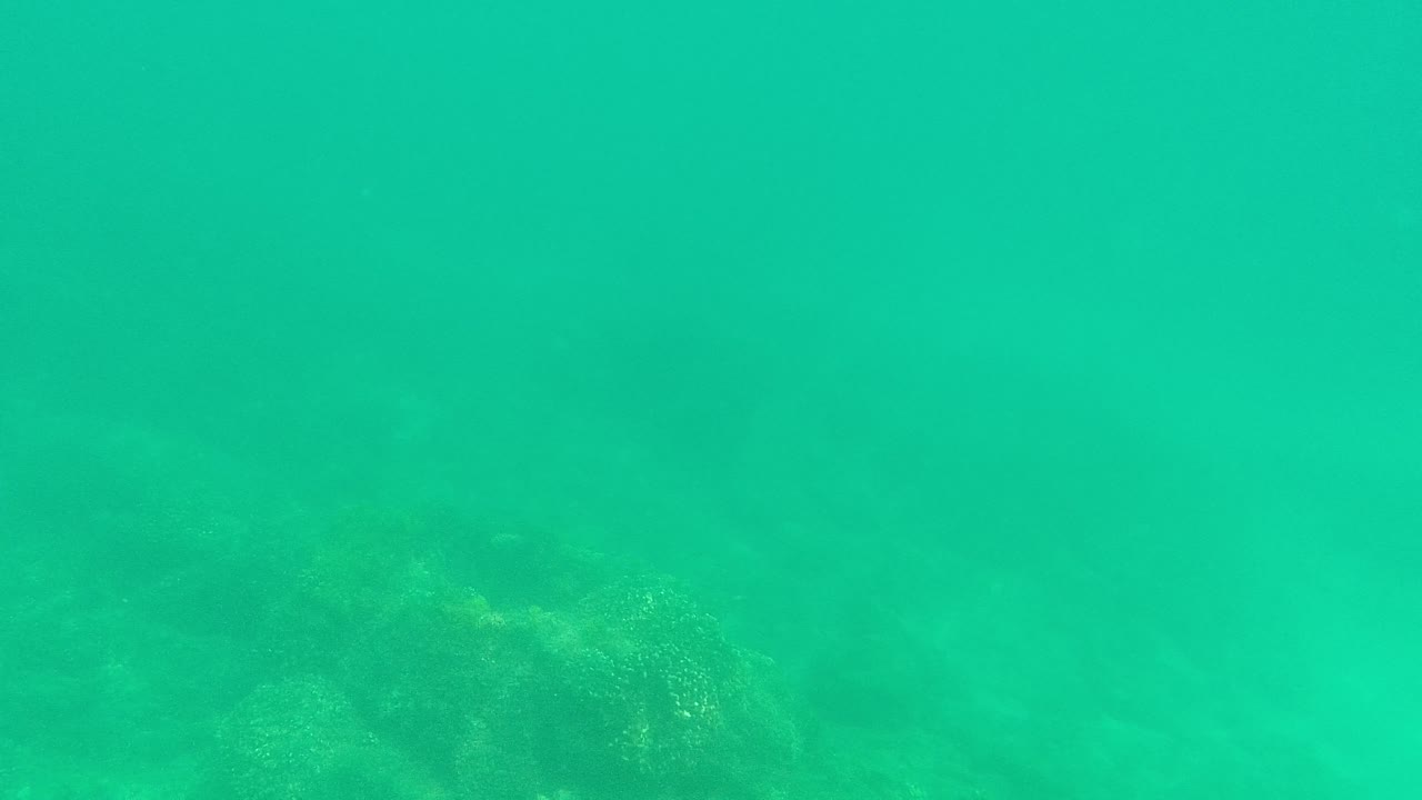 Soft green underwater rocks sit low in frame at Palmilla Los Cabos, with suspended haze and no visible people.