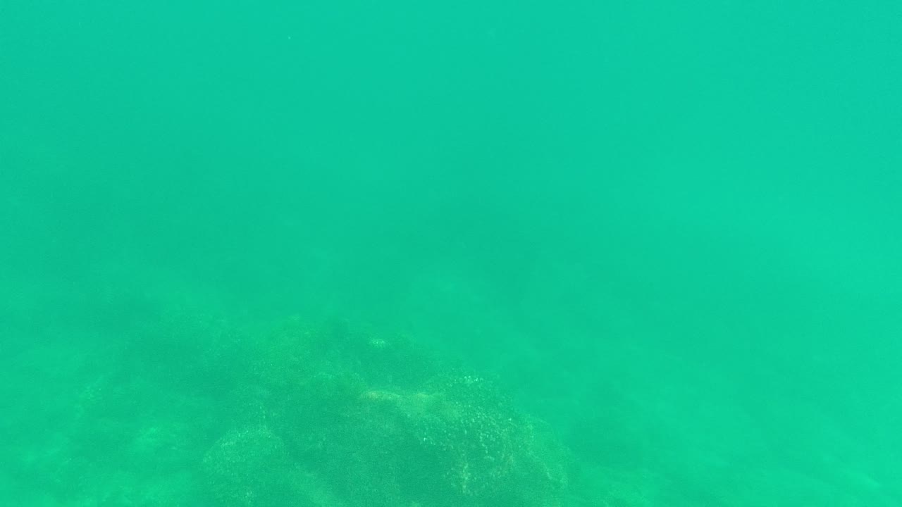 Rocky seabed appears through brighter green-blue water at Palmilla Los Cabos, with no visible people or gear in frame.