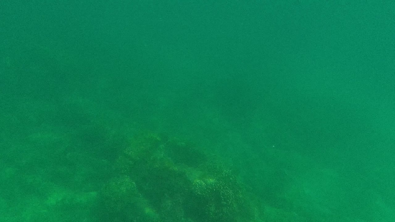 Darker underwater rocks in green water.