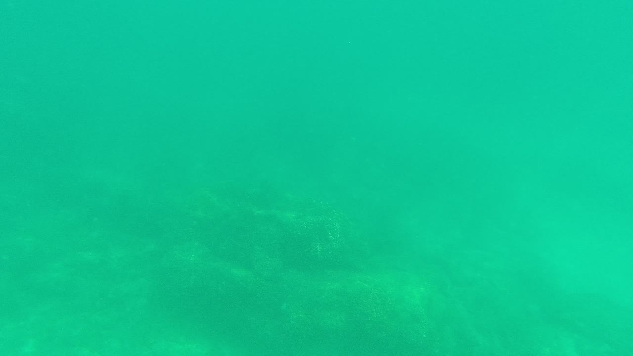 Green-blue underwater view with faint rocky seabed.