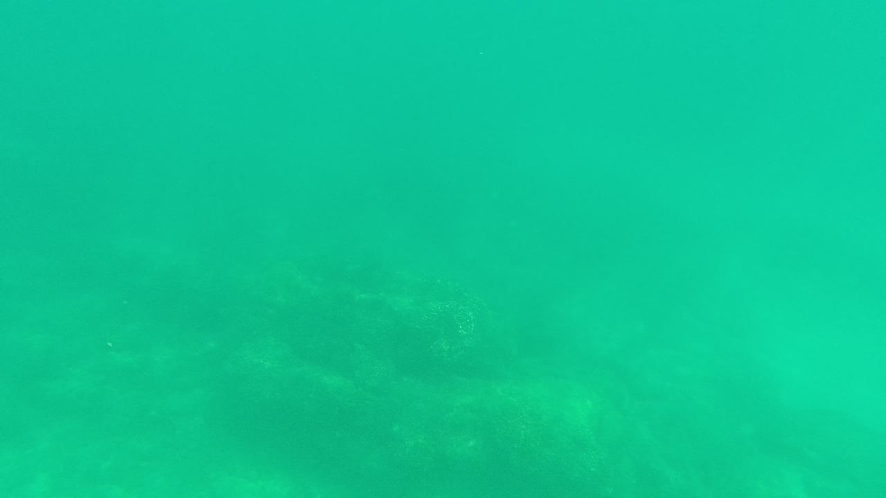 Underwater Palmilla Los Cabos frame with the rocky bottom visible through milky green-blue water and no visible people.