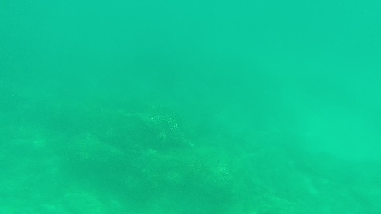 Turquoise underwater frame from Palmilla Los Cabos with faint rock forms across the seabed and no visible people.