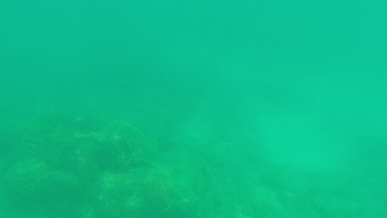 Mid-clip underwater view in Palmilla Los Cabos where clouded green water partially covers the rocky seabed, with no visible people.