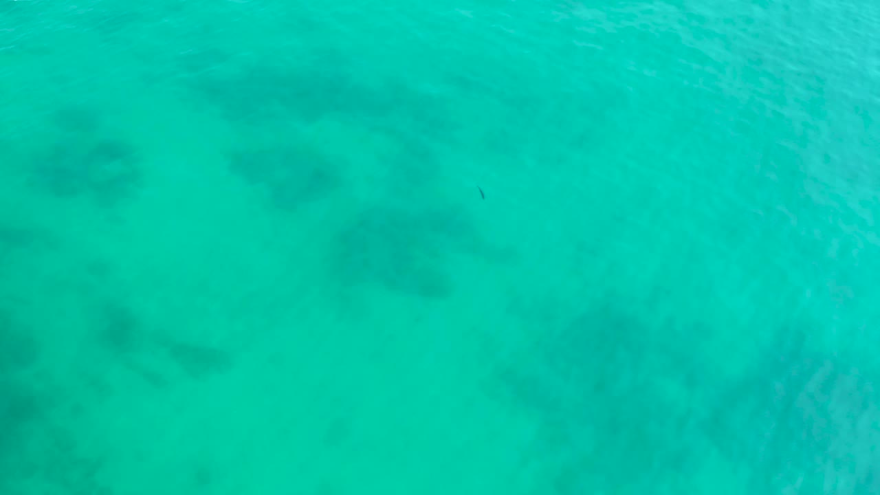 Turquoise blue-green sea water fills the frame with darker submerged coral or rock patches visible under gentle ripples at Shipwrecks Los Cabos, with no visible people.