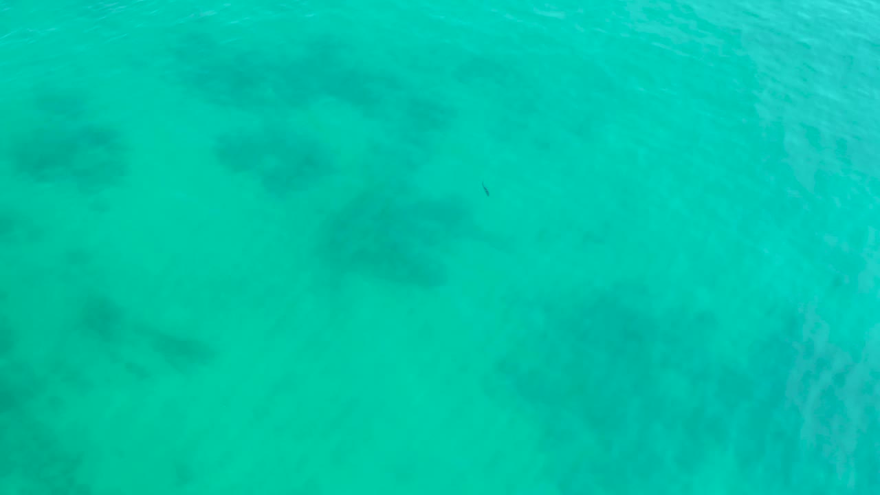 A top-down water frame shows rippling turquoise sea over soft-edged underwater rocks or coral forms in Shipwrecks Los Cabos, with no visible people.