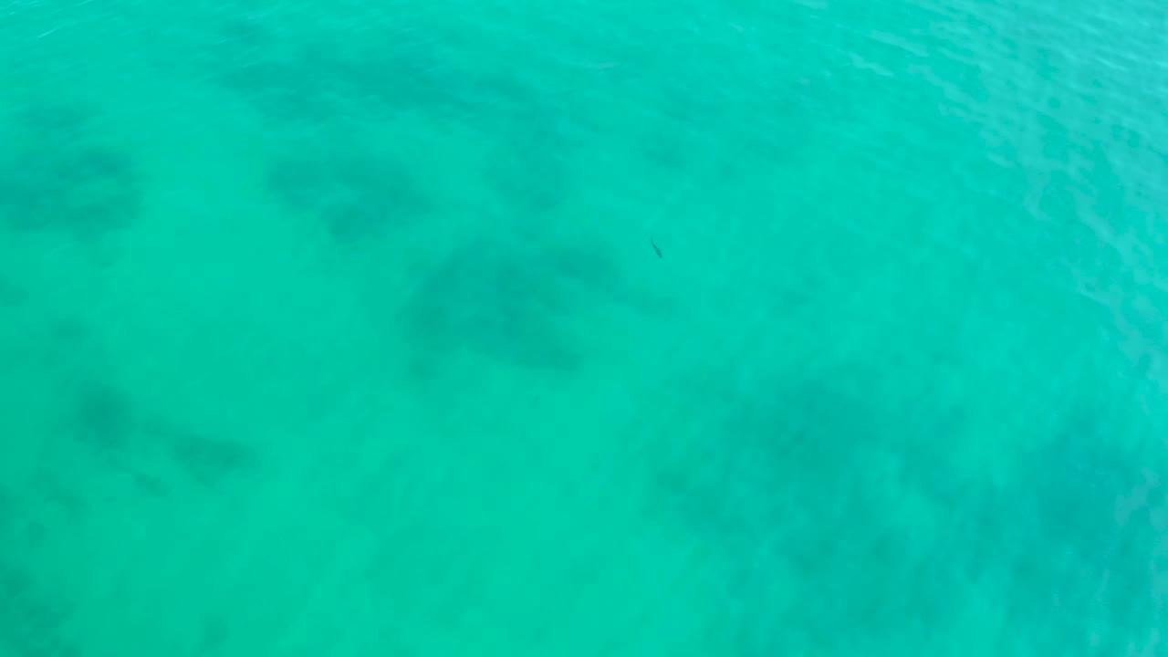 Clear turquoise water at Shipwrecks Los Cabos shows submerged dark formations and a small dark fish-like shape near the lower area, with no visible people.