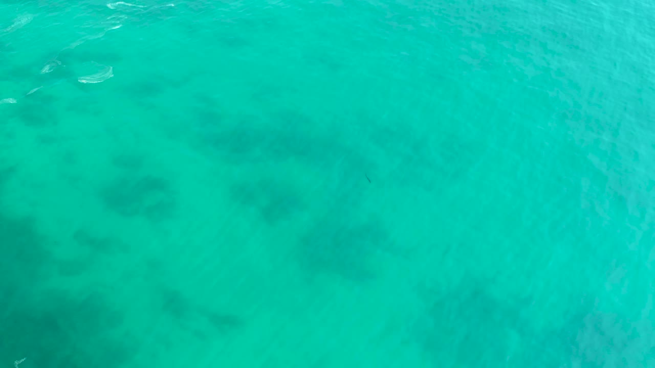 Bright turquoise ocean at Shipwrecks Los Cabos shows darker coral or reef formations under a lightly rippled surface, with no visible people.