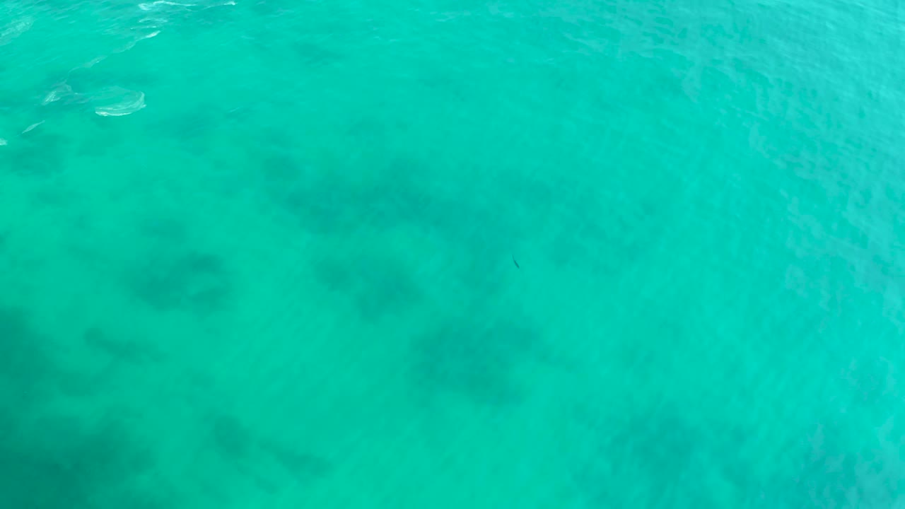 Turquoise sea surface at Shipwrecks Los Cabos carries reef shadows below, with a partial white boat at the upper left and no visible people.