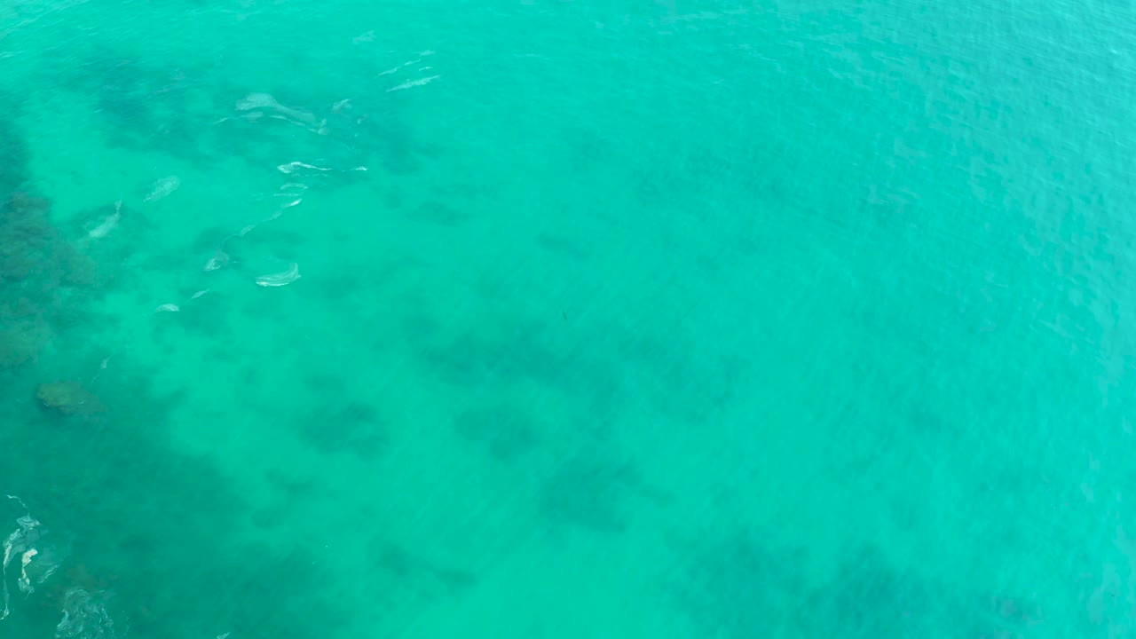 Top-down view of turquoise ocean at Shipwrecks Los Cabos with dark underwater rock or coral patches and small pale fish near the surface, no visible people.