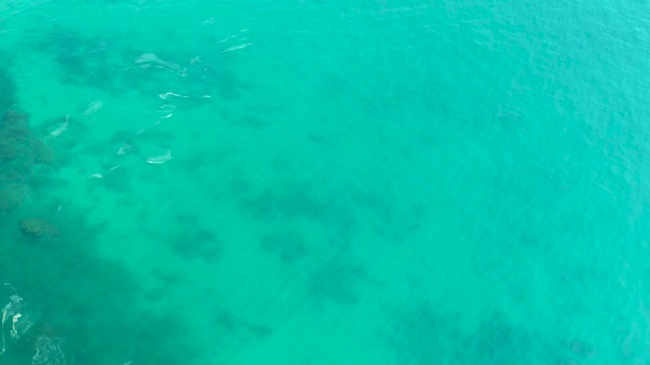Aerial view of clear turquoise water with fish clustered near darker underwater features.