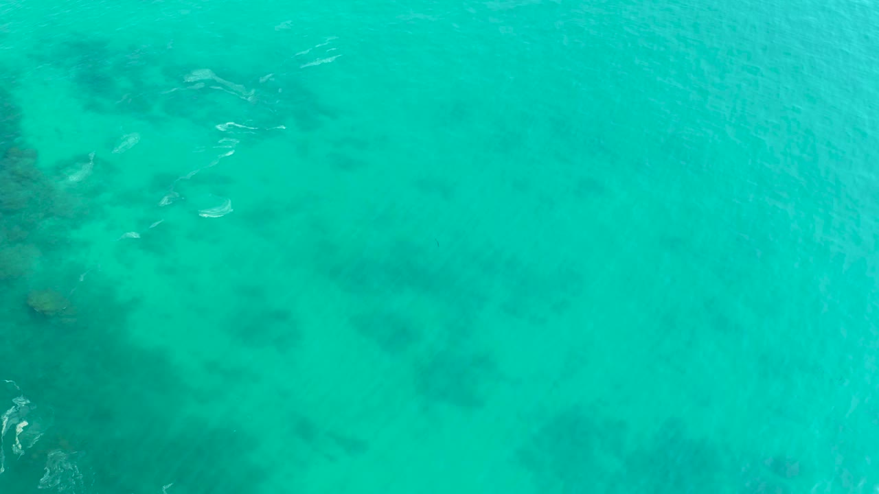Top-down Shipwrecks Los Cabos ocean frame with small fish crossing pale turquoise water and faint white ripple lines above darker submerged patches, no visible people.