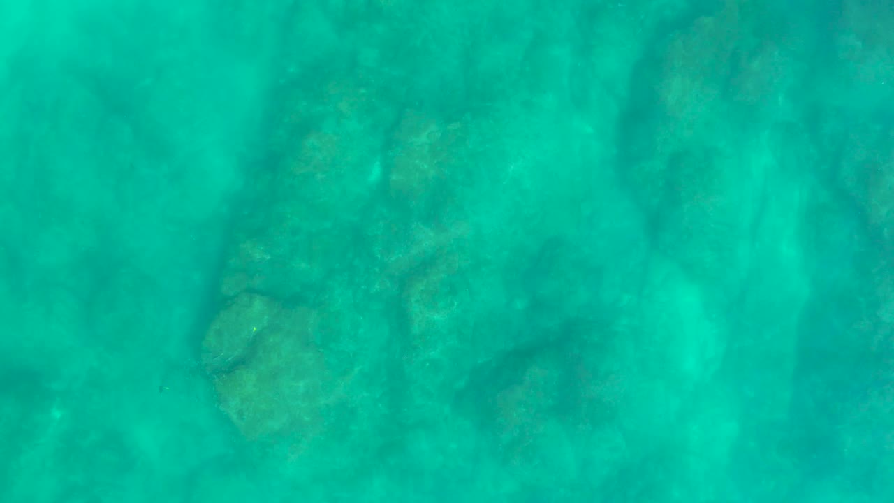 Mid-clip underwater view at Shipwrecks Los Cabos, where green-blue water partly veils coral and rock on the seabed, with no visible people.