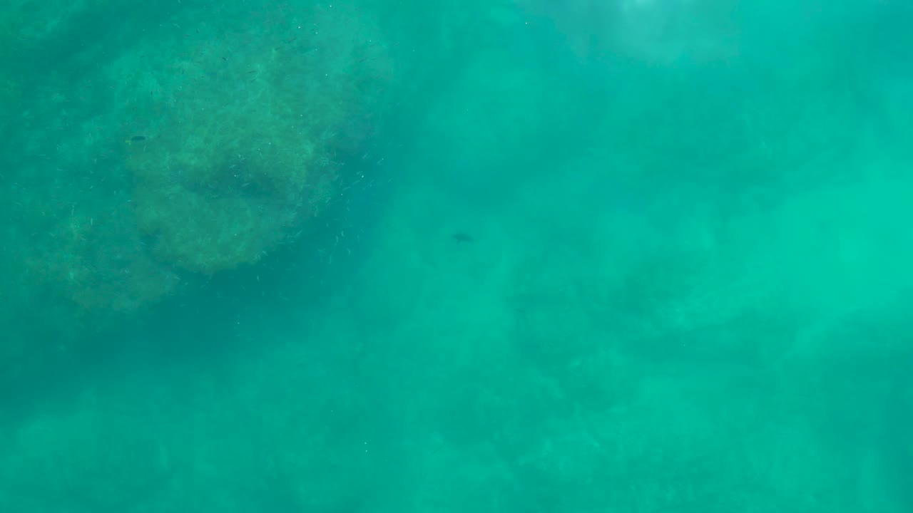 Turquoise water at Shipwrecks Los Cabos shows a submerged rock formation near the upper left with hazy ocean floor below and no visible people.