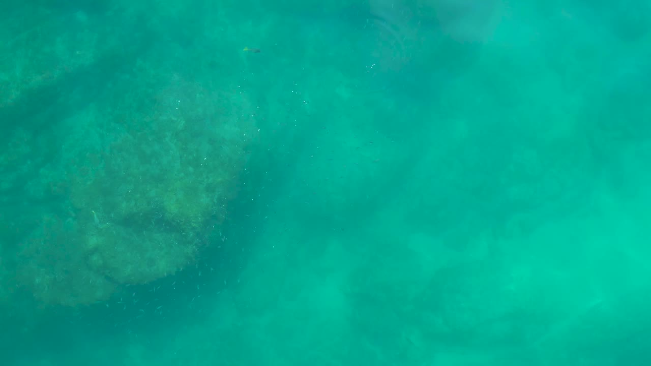 Opening underwater frame at Shipwrecks Los Cabos showing turquoise water over dark submerged rocks and hazy suspended particles, with no visible people.