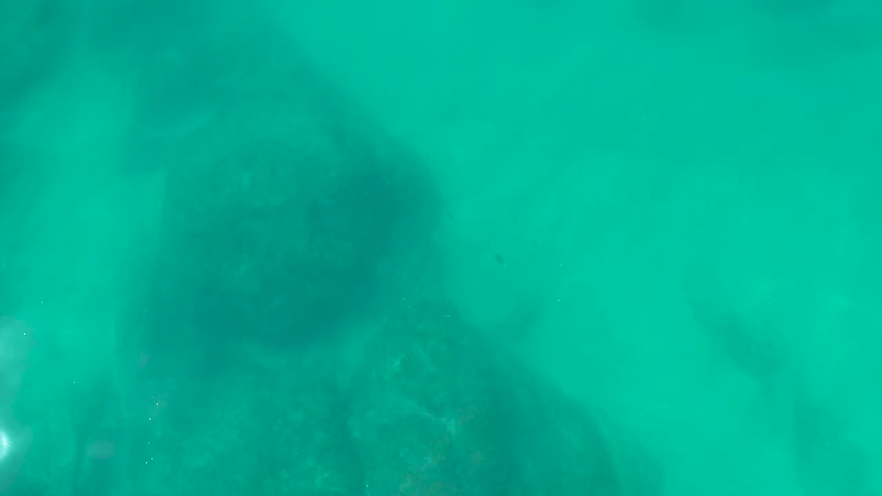 Green-blue underwater frame at Shipwrecks Los Cabos with a darker rock mass near the lower center and no visible people.