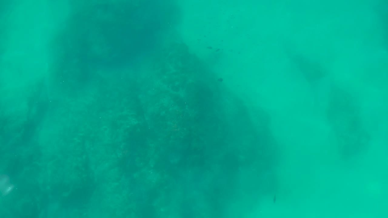 Downward underwater frame at Shipwrecks Los Cabos showing turquoise water over dark rocky seabed patches, with no visible people.