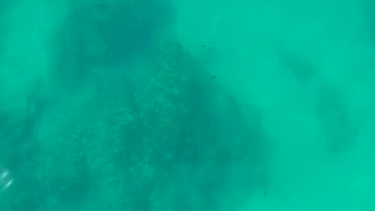 Rocky seabed seen through clear turquoise water.