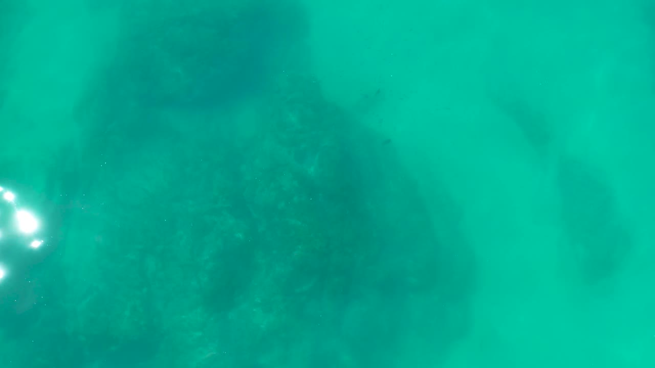 Shipwrecks Los Cabos underwater frame with bright surface glints near the right side above a dark rocky seabed, with no visible people.