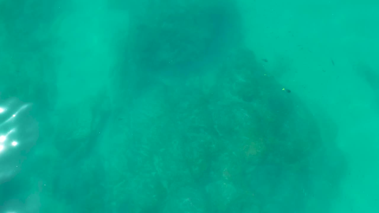 Turquoise water at Shipwrecks Los Cabos shows submerged rocks beneath a small bright surface reflection, with no visible people.