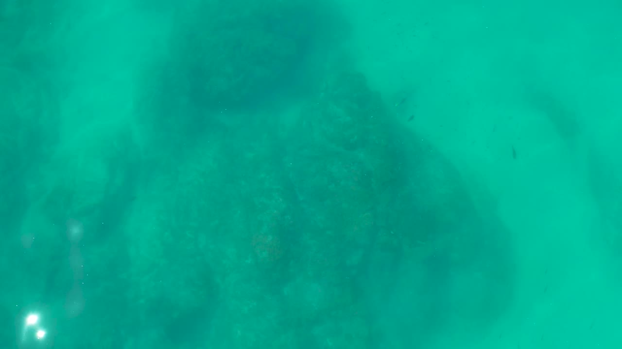 Blue-green water covers a broad rocky seabed area at Shipwrecks Los Cabos, with a few small fish visible as dark marks and no visible people.