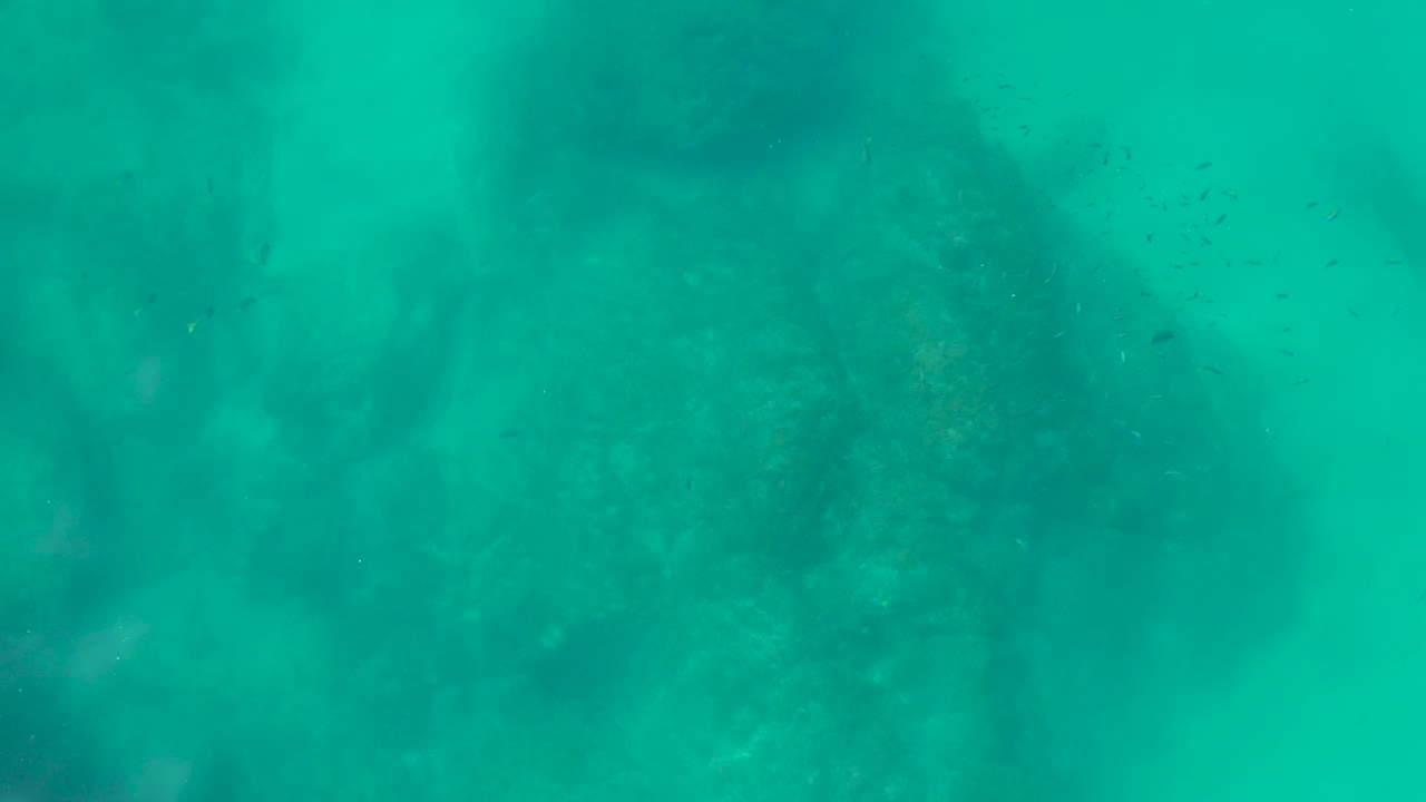 Rocky seabed seen through green-blue water at Shipwrecks Los Cabos, with faint seabed texture and no visible people.