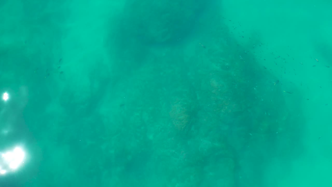 Underwater rocky seabed at Shipwrecks Los Cabos with a faint small fish shape near the lower rocks and no visible people.
