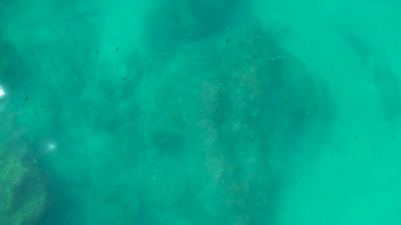 Opening underwater frame at Shipwrecks Los Cabos shows turquoise water over a dark rocky seabed with small fish and no visible people.