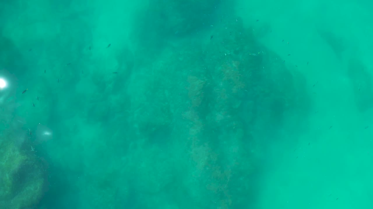 At 0:01, the Shipwrecks Los Cabos underwater view holds on darker rocks under green-blue water, with small fish faintly visible and no visible people.