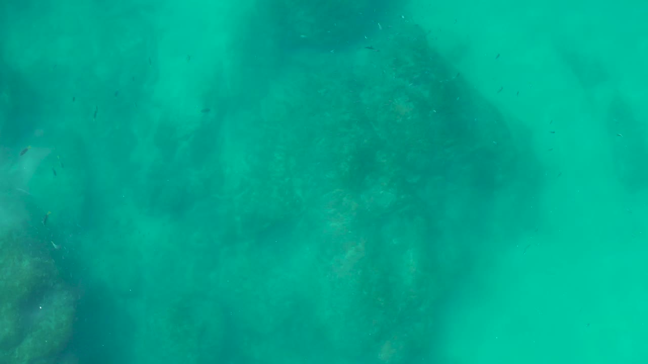 At 0:02, the frame shows a broad rocky seabed patch below clear turquoise water at Shipwrecks Los Cabos, with no visible people.