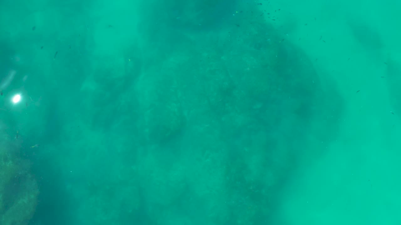 Underwater seabed with rocks, fish, and bright surface glare