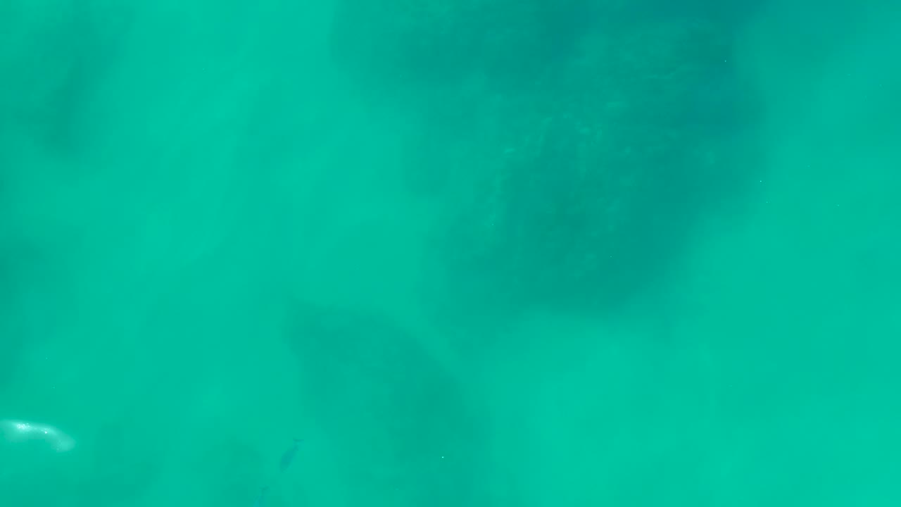 Opening frame at Shipwrecks Los Cabos showing turquoise shallow water with soft dark marine forms beneath the surface and no visible people.
