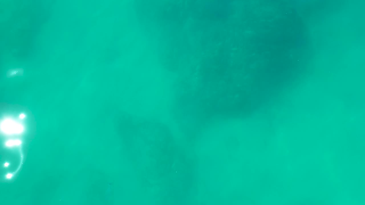 Third frame at Shipwrecks Los Cabos showing several soft dark marine forms under the turquoise surface with stronger white light reflections on the right side.