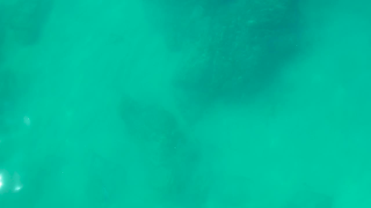 Underwater turquoise scene with a dark marine shape near center.