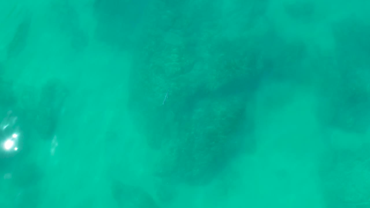 Turquoise underwater view with coral shadows and bright reflections