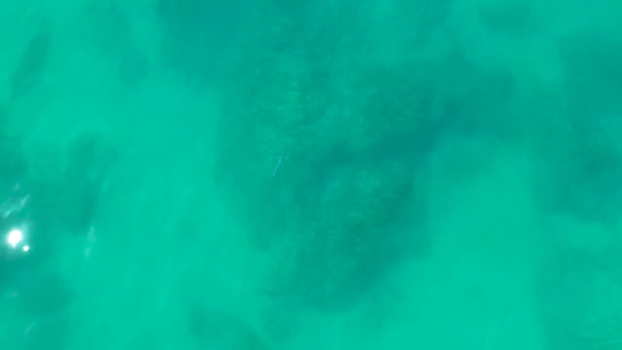 Clear turquoise water at Shipwrecks Los Cabos shows darker coral patches beneath the surface, soft sandy bottom, and no visible people.