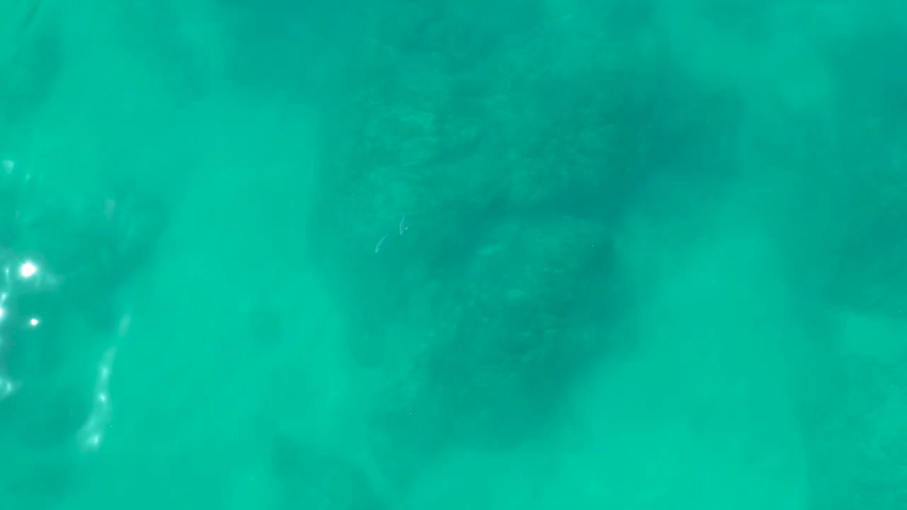 Underwater frame from Shipwrecks Los Cabos with coral formations in blue-green water, small bright reflections near center-left, and no visible people.